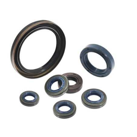 Joint d'étanchéité 15x25x7 atomiseur 3WFB-30E ORIGINAL KASEI 1E40FP-3Z-11 | NewgardenParts.com