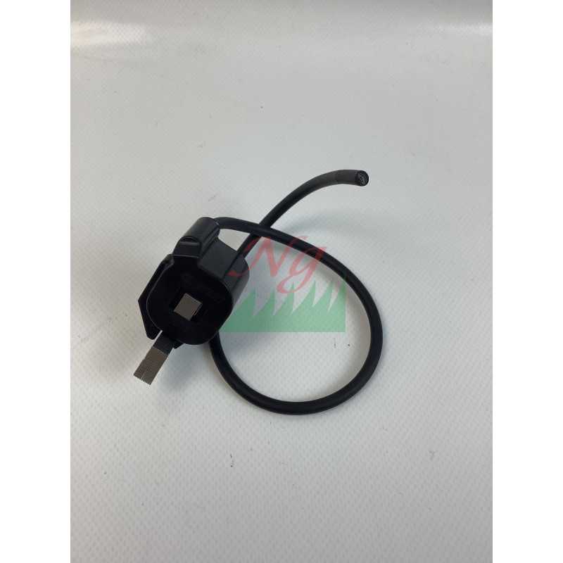Module d'allumage Stihl 42034001302