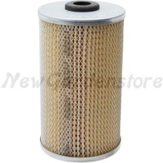 Filtro carburante trattorino tagliaerba compatibile LOMBARDINI 2175-014 2175014 | NewgardenParts.com