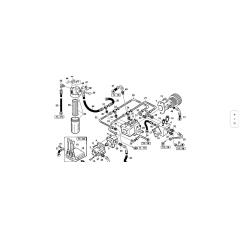 Adaptateur 3 voies M.FG.M.3/8 ORIGINAL KUBOTA GIANNI FERRARI 00.41.00.0731 | NewgardenParts.com