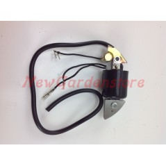 bobine accensione compatibile HONDA per motori G 150 200 30560-890-003 | NewgardenParts.com