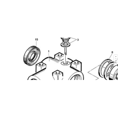 2 AUSGANGSKÄSTEN FÜR VERSTÄRKTEN EINGANGSMOTOR. ORIGINAL KUBOTA GIANNI FERRARI 00777304703 | NewgardenParts.com