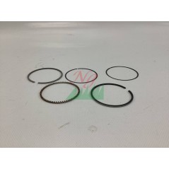 Kit Segmenti quadro ATTILA diametro 64 mm Compatibile - 038704 | NewgardenParts.com