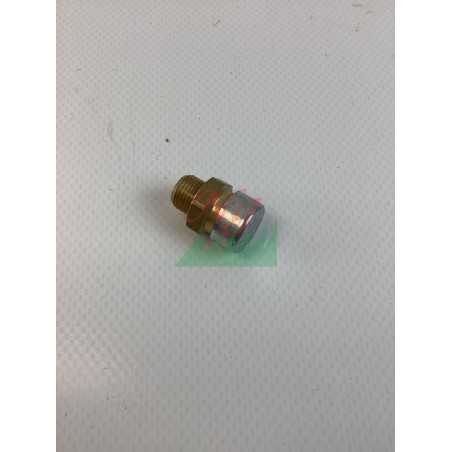 Tappo sfiato 1/8 e valvola ORIGINALE GOLDONI 06340433 | NewgardenParts.com