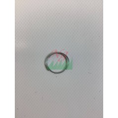 HALTEFEDER FÜR DEN STAUBDECKEL ORIGINAL GOLDONI 00020250