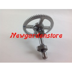 Albero a camme trattorino tagliaerba ORIGINALE BRIGGS & STRATTON 793880 790400 | NewgardenParts.com