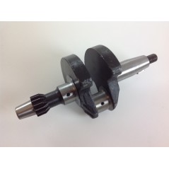 Albero a gomito motore DIESEL LOMBARDINI AUTOTRAZIONE 3LD510 1051.013 | NewgardenParts.com