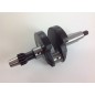 Albero a gomito motore DIESEL LOMBARDINI AUTOTRAZIONE 3LD510 1051.013