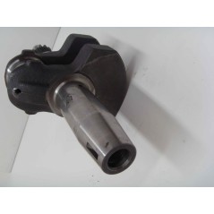 Albero a gomito motore DIESEL LOMBARDINI AUTOTRAZIONE 4LD640 LDA96 LDA100 | NewgardenParts.com