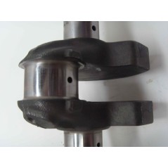 Kurbelwelle DIESEL LOMBARDINI AUTOTRACTION Motor 4LD640 LDA96 LDA100 | NewgardenParts.com
