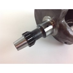 Crankshaft for DIESEL LOMBARDINI AUTOTRACTION engine 4LD820 1051.012 | NewgardenParts.com