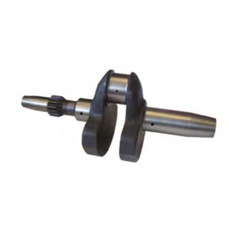 Crankshaft engine DIESEL LOMBARDINI INDUSTRIAL 4LD820 LDA820 4C.14.1050.79 | NewgardenParts.com