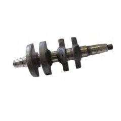 Albero a gomito STANDARD motore DIESEL LOMBARDINI 5LD675-2 1050.188 130154A | NewgardenParts.com