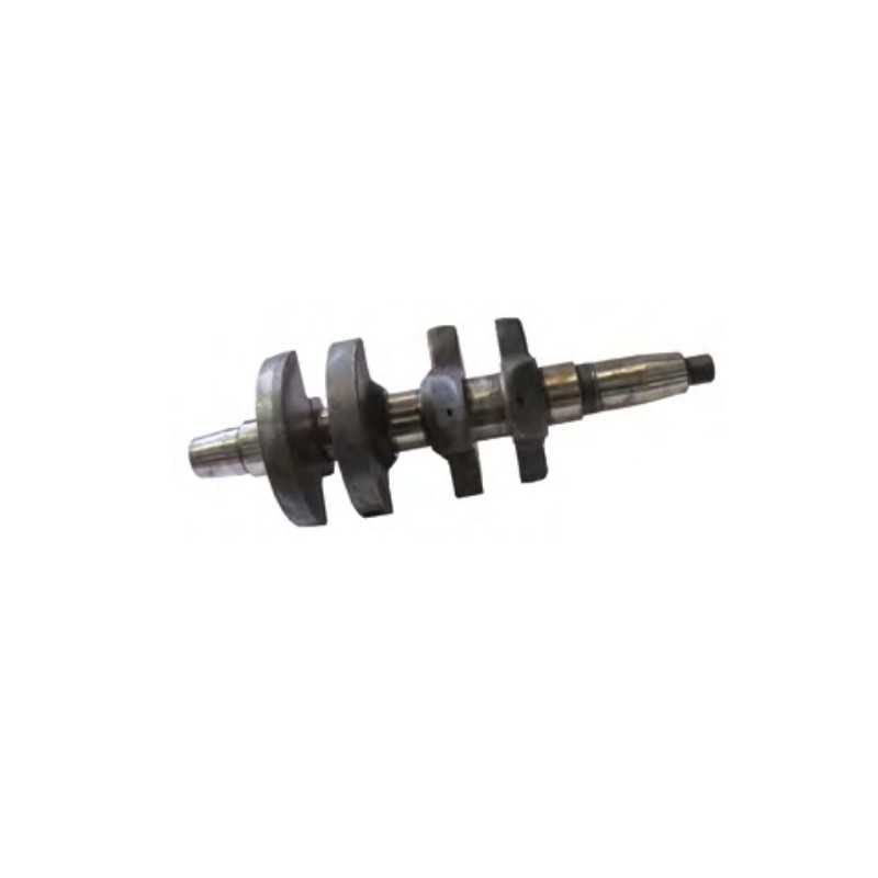 Crankshaft STANDARD DIESEL engine LOMBARDINI 5LD675-2 1050.188 130154A