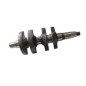 Crankshaft STANDARD DIESEL engine LOMBARDINI 5LD675-2 1050.188 130154A