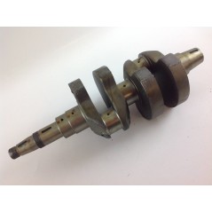 Albero a gomito STANDARD motore DIESEL LOMBARDINI LDA672 1051.069 130146A | NewgardenParts.com