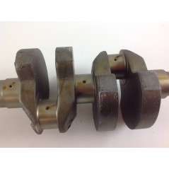 Cigüeñal STANDARD motor DIESEL LOMBARDINI LDA672 1051.069 130146A | NewgardenParts.com