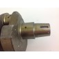 Albero a gomito STANDARD motore DIESEL LOMBARDINI LDA672 1051.069 130146A