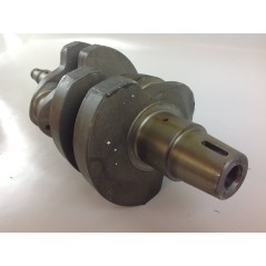 Albero a gomito STANDARD motore DIESEL LOMBARDINI LDA672 1051.069 130146A | NewgardenParts.com