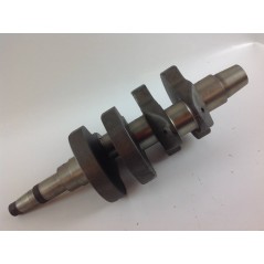 Cigüeñal STANDARD motor DIESEL LOMBARDINI LDA672 1051.069 130146A | NewgardenParts.com