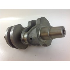 Albero a gomito STANDARD motore DIESEL LOMBARDINI LDA672 1051.069 130146A | NewgardenParts.com