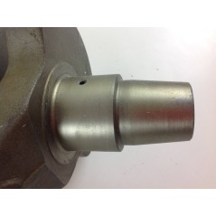 Cigüeñal STANDARD motor DIESEL LOMBARDINI LDA672 1051.069 130146A | NewgardenParts.com