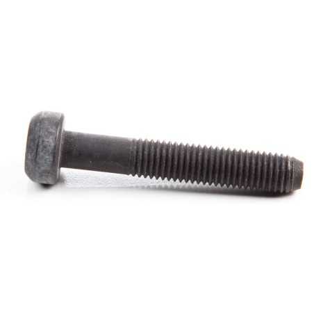 Bullone vite biella motore trattorino rasaerba BRIGGS & STRATTON 791118 | NewgardenParts.com