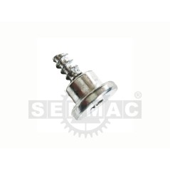 T450: TORNILLOS DE PROTECCIÓN 450.005 ORIGINAL PRO.TOP | NewgardenParts.com
