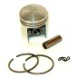 PISTONE COMPLETO DI FASCE E SPINOTTO 650.1.39 Compatibile TOPSO- ALPINA- CASTELGARDEN