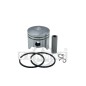 PISTON COMPLETE WITH PISTON RINGS, PIN AND SEEGER 54.230.1678 Compatible with KAWASAKI