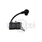 ENCENDIDO ELECTRÓNICO 54.100.1145 Compatible con PRO.TOP- ECHO- SHINDAIWA