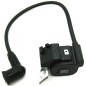 ELECTRONIC IGNITION 54.100.1118 Compatible with STIHL
