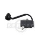 ELECTRONIC IGNITION 54.100.1147 Compatible with DOLMAR- MAKITA