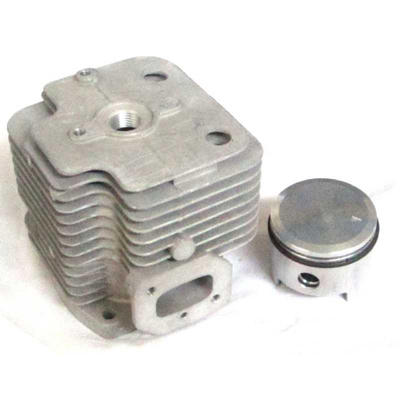 CYLINDER AND PISTON 650.1.14 Compatible with ALPINA- CASTELGARDEN- ECHO- TOPSO