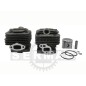 Kit cylindre + piston adaptable 54.120.1840 compatible ECHO Kit cylindre + piston adaptable 54.120.1840 compatible ECHO