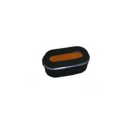 Filtro Aria 479674 ORIGINALE AL-KO | NewgardenParts.com