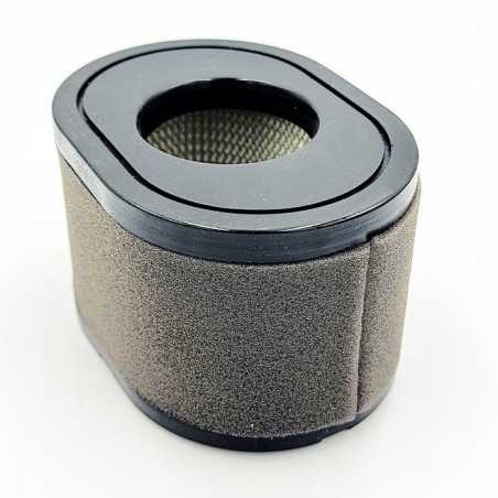 Al-Ko Pro 700V2 Lc2P77F 476858 ORIGINAL AL-KO engine | NewgardenParts.com