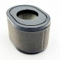 Motor Al-Ko Pro 700V2 Lc2P77F 476858 ORIGINAL AL-KO