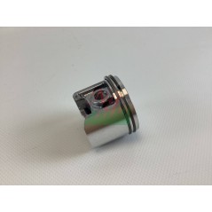 BLUE BIRD Kolbenzylinder für P590 M59 N57 Motorsensenmotor 723100 | NewgardenParts.com