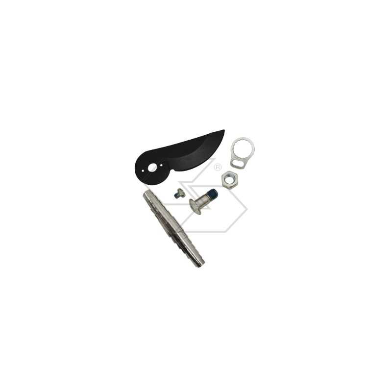 Klingenfeder und Schraube FISKARS für P90 - 1026278