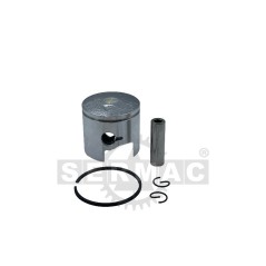 T250 - T251: PISTONE 250.031 ORIGINALE PRO.TOP | NewgardenParts.com