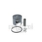 T250 - T251: COMPLETE PISTON 250.031 ORIGINAL PRO.TOP
