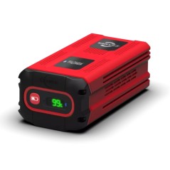 CRAMER 8 Ah 82 V lithium battery up to 800-1000 m2 with one charge | NewgardenParts.com
