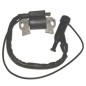 BOBINA DE ENCENDIDO PARA MOTOR GC270H AG0230007 Compatible HONDA