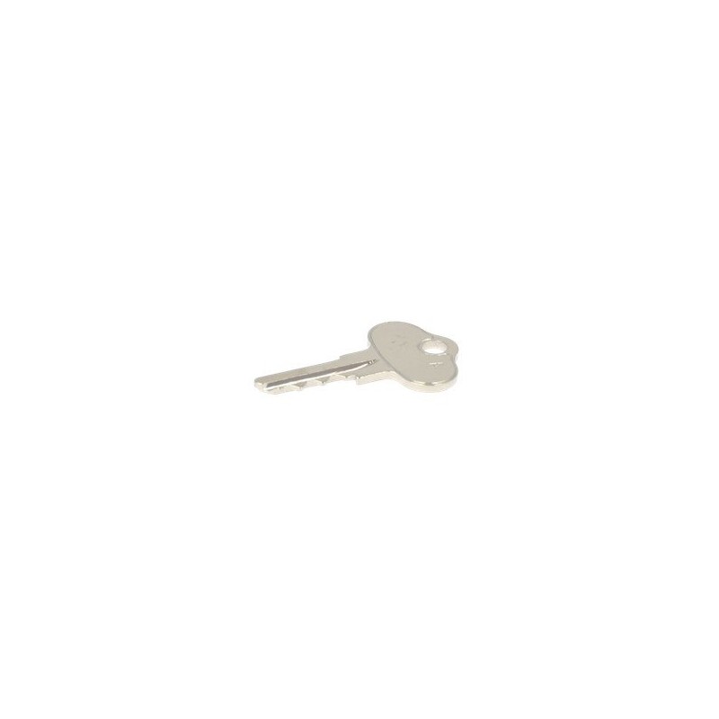 JOHN DEERE IGNITION KEY REPL AM1318 AG0214995 Compatible with JOHN DEERE