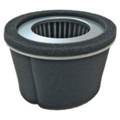 FILTRO ARIA ROBIN EY20 AG0306002 Compatibile ROBIN | NewgardenParts.com
