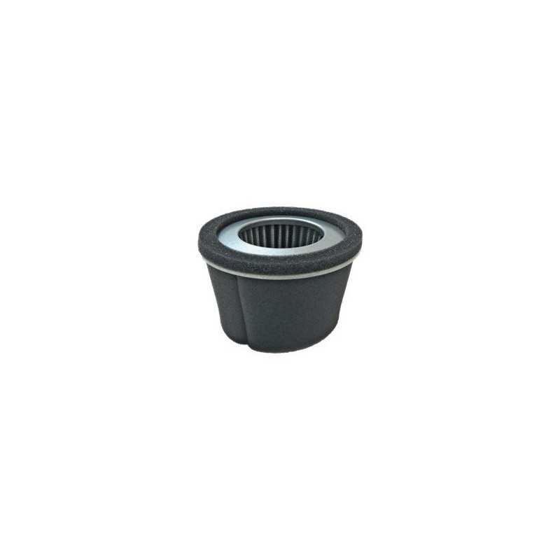 FILTRO DE AIRE ROBIN EY20 AG0306002 Compatible con ROBIN
