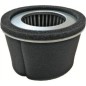 ROBIN EY20 LUFTFILTER AG0306002 Kompatibel mit ROBIN