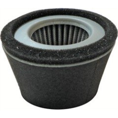 ROBIN EY15 AG0306003 AIR FILTER Compatible with ROBIN | NewgardenParts.com