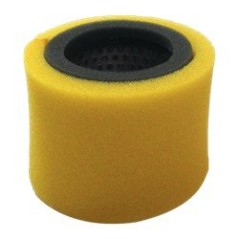 Filtre à air ROBIN EC13V AG0306005 Compatible avec ROBIN | NewgardenParts.com